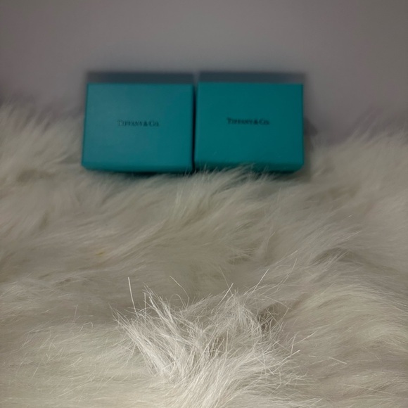 Tiffany & Co. Iconic Blue Gift Boxes - Picture 3 of 6